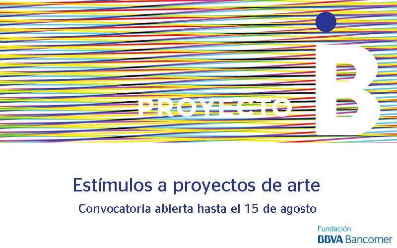 Proyecto BI - Imagen 3 800x500